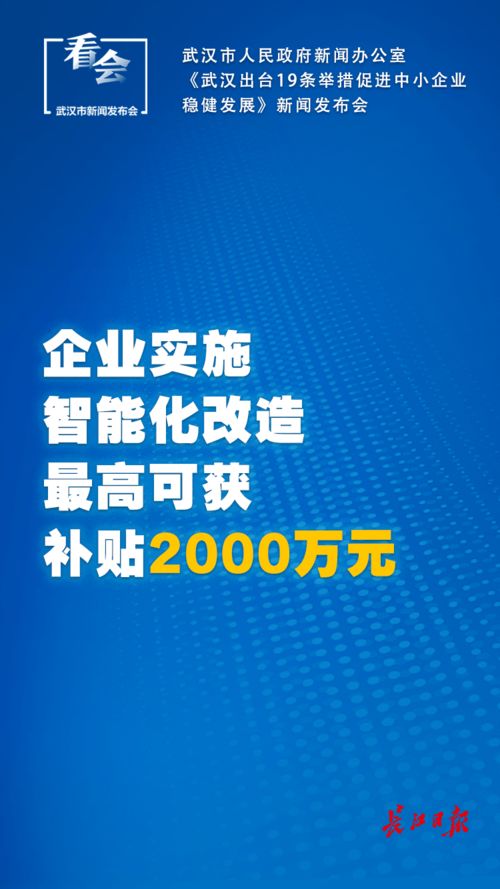 武汉出台中小企业扶持新政 社保延长、税费减免与技术推广齐发力