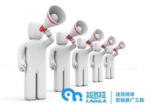 拉米拉 如何利用网络技术高效推广公司产品与品牌